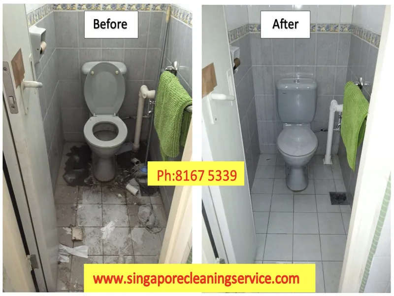 Deep toilet cleaning before and after end of tenancy