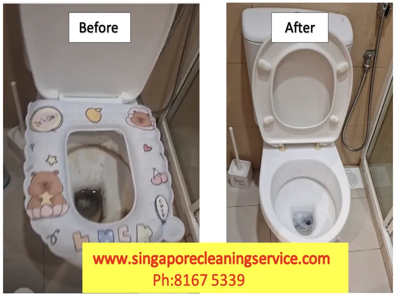 Before and after toilet move out cleaning service