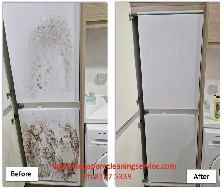 Before and after fridge cleaning during move in cleaning service in Singapore
