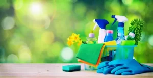 Professional house cleaning service – eco-friendly cleaning supplies and tools